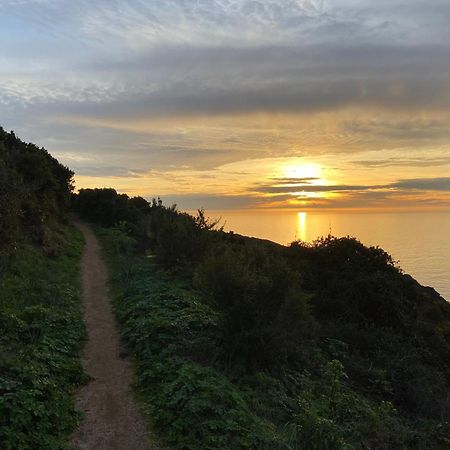 Villa Montalbo Vue Mer De 2 A 10 Personnes Cargèse 외부 사진