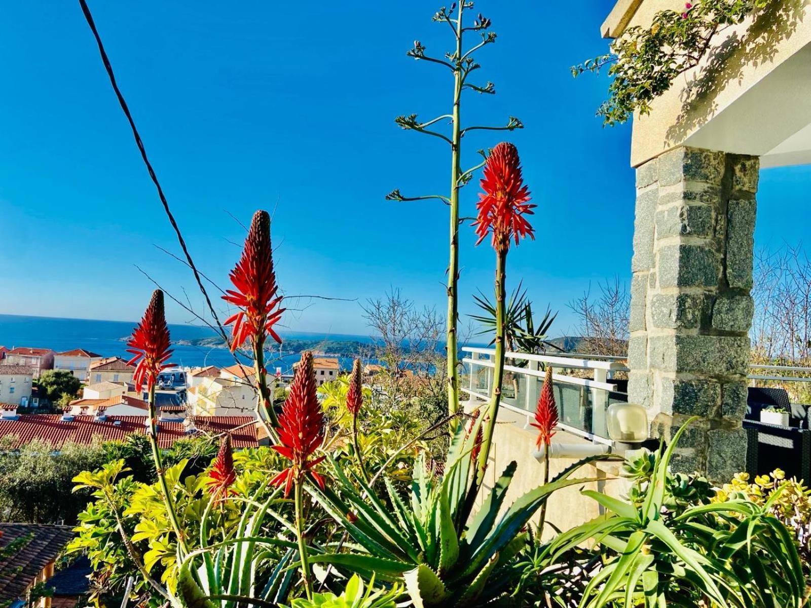 Villa Montalbo Vue Mer De 2 A 10 Personnes Cargèse 외부 사진
